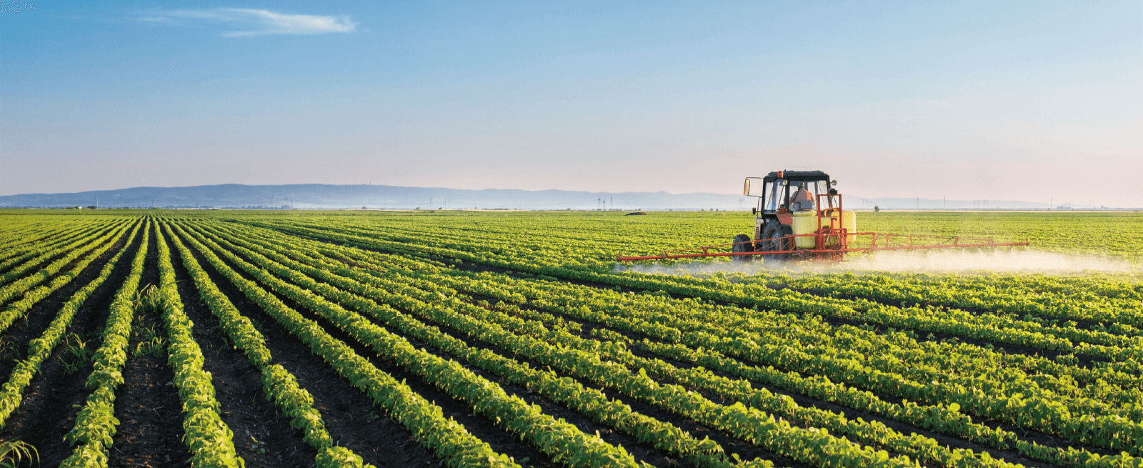 首页|bifa必发集团中国官方网站